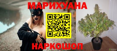 меф Лесосибирск